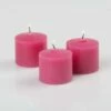 Richland Votive Candles Unscented Hot Pink 10 Hour Set Of 72