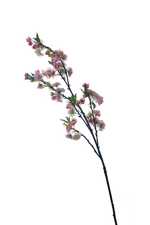 Pink Cherry Blossom Branch 45" 3 Pink Cherry Blossom Branch 45" - Image 3