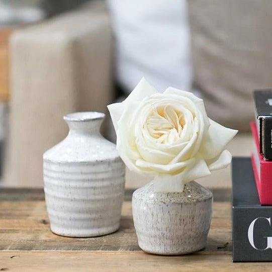 Richland Hari Budvase 3.25" X 4.5" Set Of 4 2 Richland Hari Budvase 3.25" X 4.5" Set Of 4 - Image 2