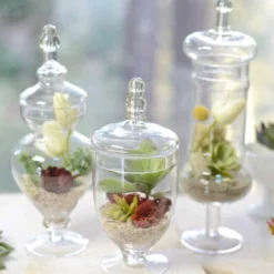 Set Of 3 Small Apothecary Jars 9, 12, & 13.5"