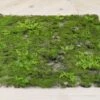 Faux Moss & Fern Tile Square 20in