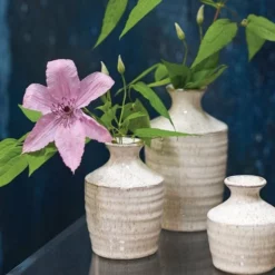 Richland Hari Budvase 3.25" X 4.5" Set Of 4 6 Richland Hari Budvase 3.25" X 4.5" Set Of 4 -US Gift Sales 2024 b0815a5d 6939 4e1b a5c2 27058b77c1c9