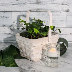 Richland Candle Holder Textured Glass Tall Set Of 12 6 Richland Candle Holder Textured Glass Tall Set Of 12 -US Gift Sales 2024 basket 463847f5 a124 499c b5a0 762b75771c86