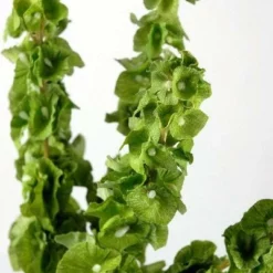 Silk Bells Of Ireland Spray 21in -US Gift Sales 2024 bells of ireland silk 21 tall 5 stems 9