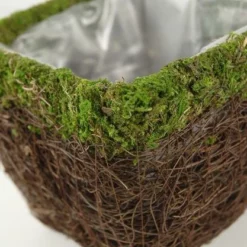 Wicker And Moss Square Pot 5in -US Gift Sales 2024 bevfabriccrafts 2154 308968223