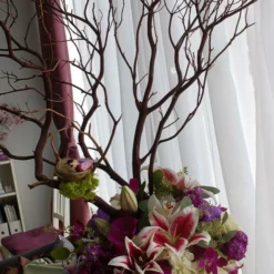 Manzanita Branch Red Bark 12" Natural -US Gift Sales 2024 bevfabriccrafts 2223 1833309711