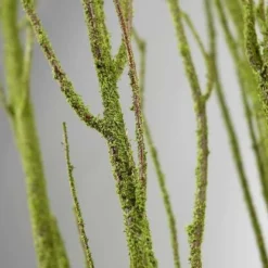 Birch Tree Branch Bundle Moss Coated 4ft