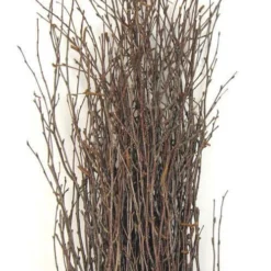 Natural Birch Tree Branches 3-4ft (25 Branches)