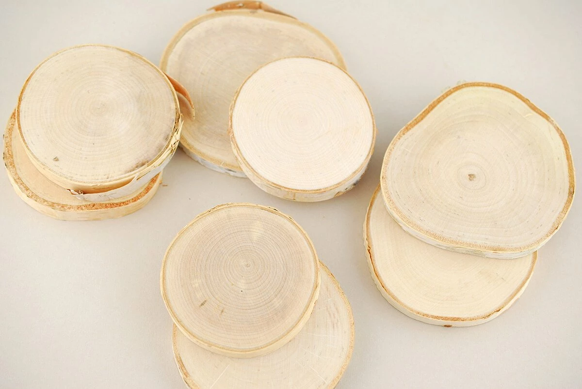 Natural Birch Rounds 3-5in (Set Of 8) 2 Natural Birch Rounds 3-5in (Set Of 8) - Image 2