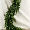 Natural Preserved Boxwood Garland 45in