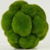 Bumpy Faux Moss Ball 5in