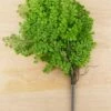 Artificial Maidenhair Fern Bush 18"