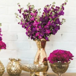 Carraway Pedestal Dish 4.25" Gold -US Gift Sales 2024 carraway ba6b49a3 70a0 4c7a 810f 859a26770db2