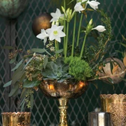 Desiray Glass Compote 9.5" Gold -US Gift Sales 2024 cb1c8c2f 34fc 41f7 9123 78b77231e904