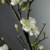 Cherry Blossom Branch 57" Artificial