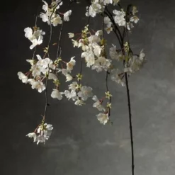 Hanging Cherry Blossom Branch White Silk Artificial 58"