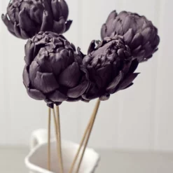 Chico Choke Pod Stems Dark Purple Set Of 5