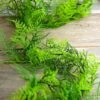 Asparagus Fern Garland Artificial 6ft