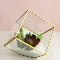 Hira Glass & Brass Terrarium Angled Cube 4.7" -US Gift Sales 2024 glass terrarium cube brass 4 1
