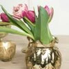 Gold Carraway Vase 5" X 5.25"
