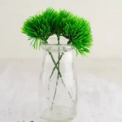 36 Green Trick Dianthus Picks 6 Inch