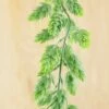 Hops Garland Frosted Green 6ft