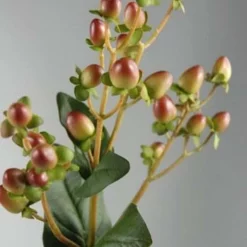 Hypericum Burgundy & Green 24in Artificial