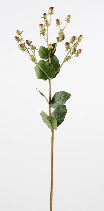 Hypericum Burgundy & Green 24in Artificial 2 Hypericum Burgundy & Green 24in Artificial - Image 2