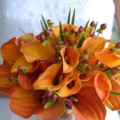 Hypericum Burgundy & Green 24in Artificial 5 Hypericum Burgundy & Green 24in Artificial -US Gift Sales 2024 hypericum berries artificial burgundy green 9