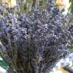 Lavender Flowers Air Dried Premium Blue Fragrant (90+ Stems)