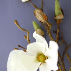 Magnolia Spray Cream 40in