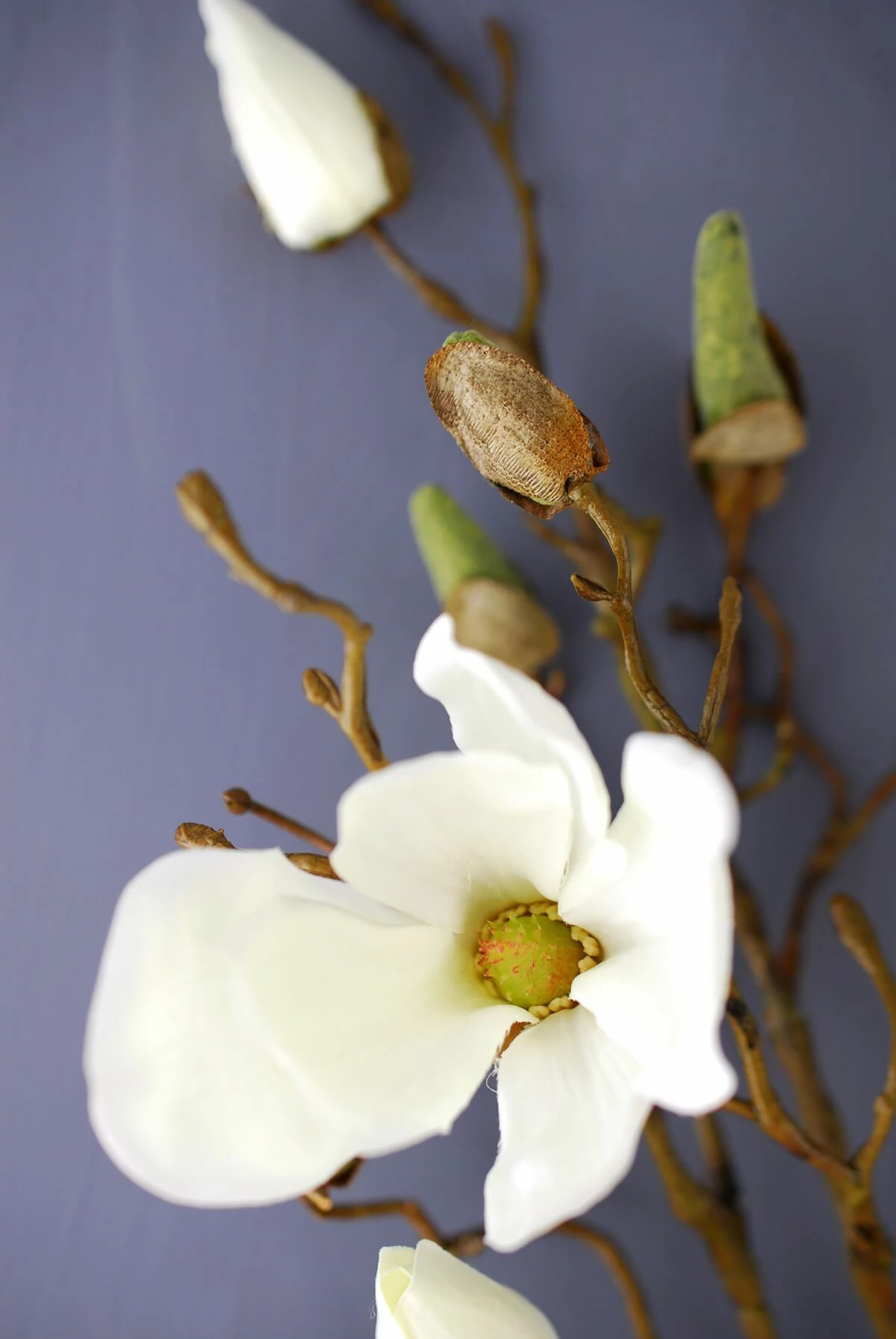 Magnolia Spray Cream 40in 1 Magnolia Spray Cream 40in