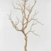 Artificial 38" Manzanita Tree Branch Tan