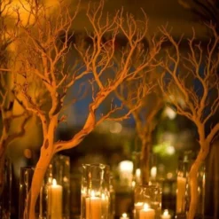 Manzanita Branch Sanded 21-38" Natural 5 Manzanita Branch Sanded 21-38" Natural -US Gift Sales 2024 manzanita branches sanded 21 38 natural 9