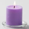 Richland Pillar Candles 3"x3" Lavender Set Of 12