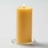 Richland Pillar Candles 3"x6" Yellow Set Of 12