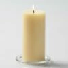 Richland Pillar Candles 3"x6" Ivory Set Of 24