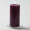 Richland Pillar Candles 3"x6" Purple Set Of 24