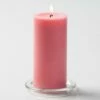 Richland Pillar Candles 3"x6" Pink Set Of 6