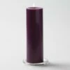 Richland Pillar Candles 3"x9" Purple Set Of 24