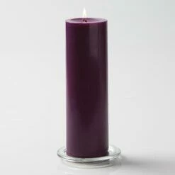 Richland Pillar Candles 3"x9" Purple Set Of 24
