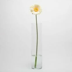 Richland Yellow Gerbera Daisy 24" Set Of 24 5 Richland Yellow Gerbera Daisy 24" Set Of 24 -US Gift Sales 2024 mg 3947