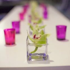 Eastland Square Votive Candle Holder Set Of 12 7 Eastland Square Votive Candle Holder Set Of 12 -US Gift Sales 2024 mg 6893