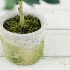 Mini Olive Tree 12in 5 Mini Olive Tree 12in -US Gift Sales 2024 mini olive tree 12 3