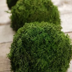 Preserved Reindeer Moss Balls 4" (Set Of 3)