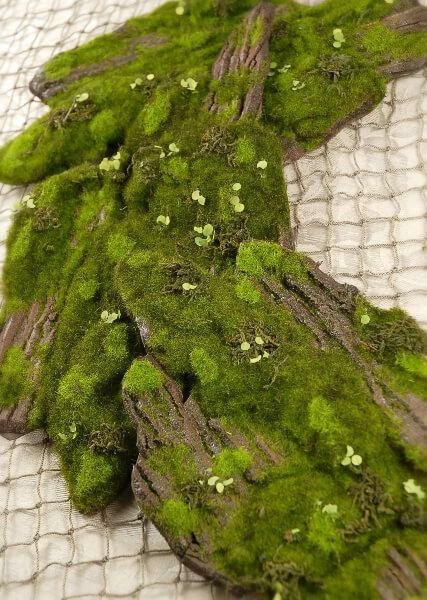 Foam Moss Tree Bark 14in X 6.5in 3 Foam Moss Tree Bark 14in X 6.5in - Image 3