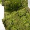 Faux Moss Runner Flocked 12" X 72"
