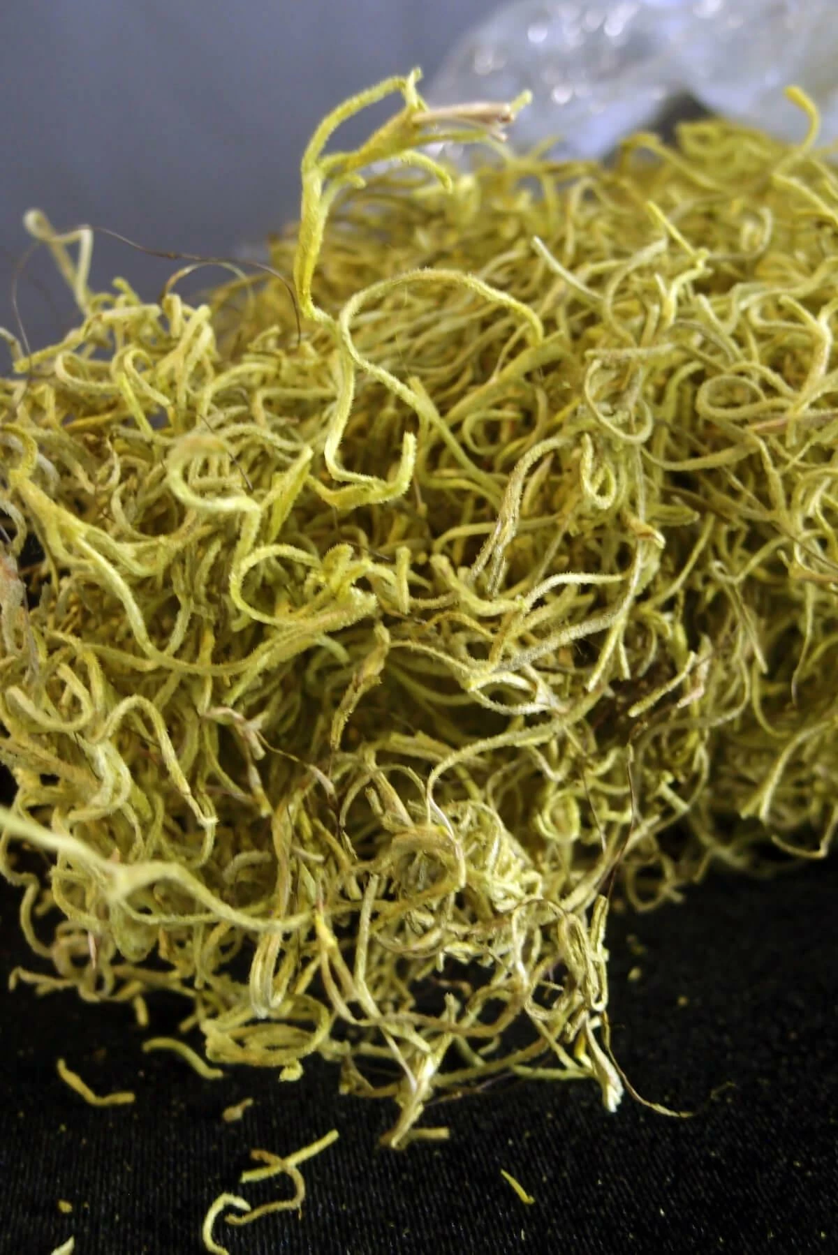 Chartreuse Spanish Moss 1 Lb / 700 Cubic In. 1 Chartreuse Spanish Moss 1 Lb / 700 Cubic In.