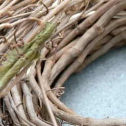 Natural Grapevine 35 Foot Garland