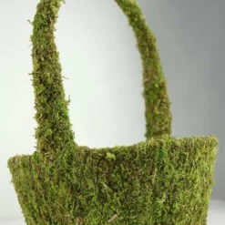 Preserved Natural Moss Basket 12"
